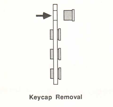 Burr Brown key remove